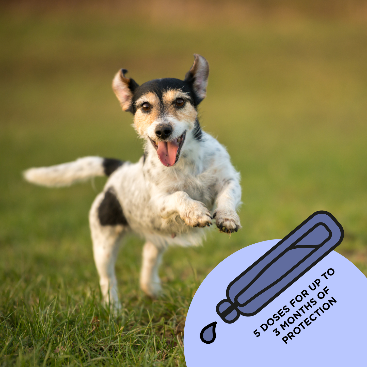 Tickless 3 months Natural Topical Spot-on Solution for dogs (S size) - Sold in pack of 12
